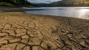 What Happened to the Previous Yorkshire Hosepipe Ban